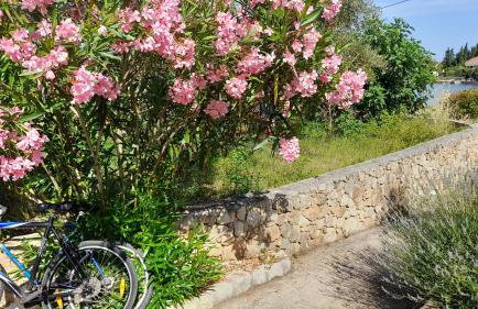 Rustic House Miketa - Family Summertime - Foto 11