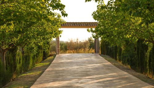 Casa Saladarejo de los Olivos - Foto 4, Garden