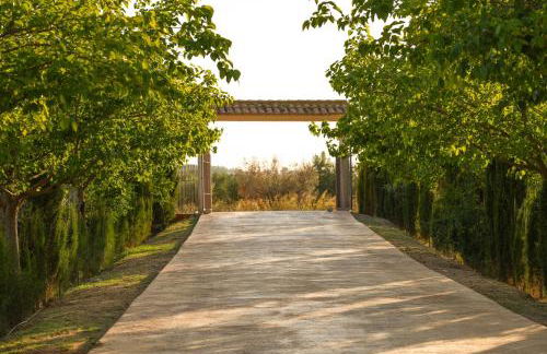 Casa Saladarejo de los Olivos - Foto 4