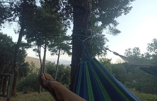 Cabaña con vistas en Mas Coguleras - Photo 6