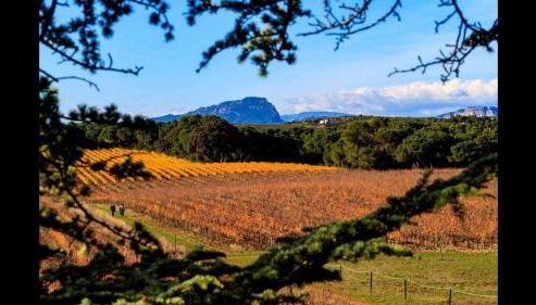 Gîte du Domaine Saint Jean De L'arbousier - Foto 2
