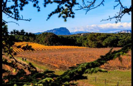 Gîte du Domaine Saint Jean De L'arbousier - Foto 2