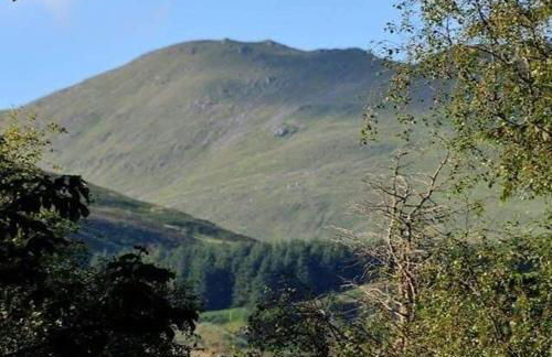 Pinetree Cottage, dog friendly, Holiday let, Callander Invertrossachs - Foto 33