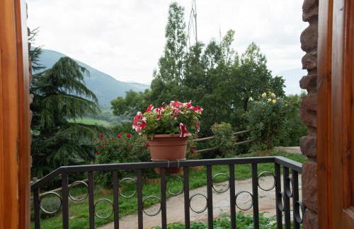 Casa Rural Cal Bosch - Foto 9