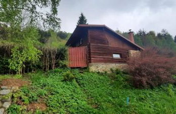 Domek Zielony Dzięcioł - Foto 10