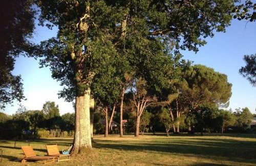 Cabane de Pêcheurs Huraia - Foto 11