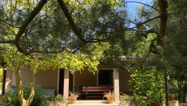 Apartman "Almond house 2" - Foto 5