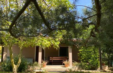 Apartman "Almond house 2" - Foto 5