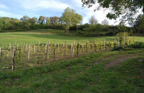 Agriturismo Il Melo - Foto 3