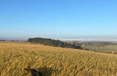 Stewards Granary - Foto 8