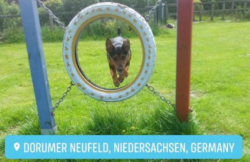 Nordsee direkt Garten Hallenbad und Sauna Strandkorb in der Saison - Foto 27