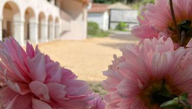 Agriturismo Il Bosco Camere - Photo 2