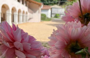 Agriturismo Il Bosco Camere - Photo 2