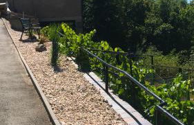 Schlossberg Apartments & Garten in der Natur & unweit vom "Thüringer Meer" - Foto 66