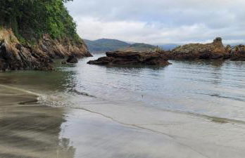 Casa da Oliveira - Foto 6