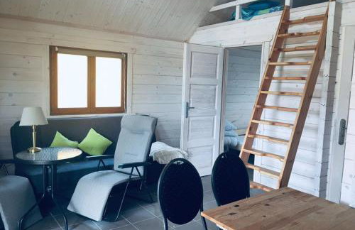 Siedlisko u Agi - Foto 22