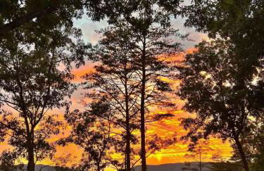 Shenandoah Retreat - Family Home - Foto 55