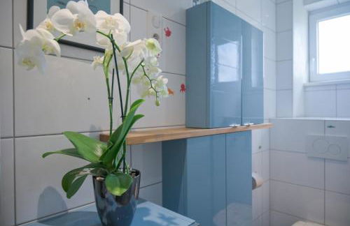 Colmar Friends and Familly guest home - ALL INCLUSIVE - COLMAR Gare - Jardin - Combles et Vous - Foto 44