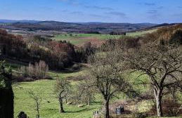 Ferienwohnungen zur Stadtmauer - Photo 27