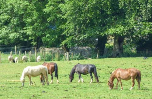 Loft Apartment - Photo 22