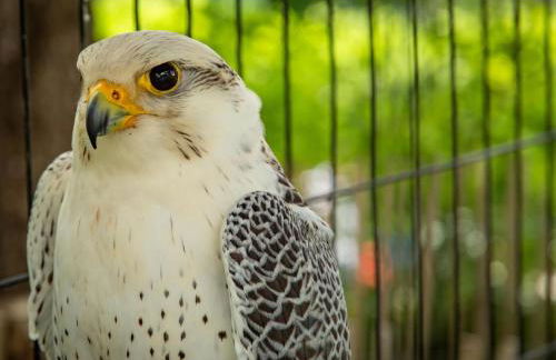 Gite La Folie - Foto 6