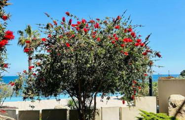 "T3 Mare e Festa" vue mer - piscine - accès plage - Foto 35