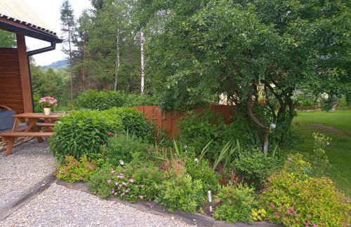 Domek Jancio Wodnik - Photo 39