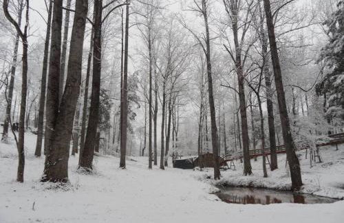 Royal Suite at White Lotus Eco Spa Retreat - Foto 22