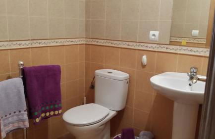 Apartamentos Portal de Ordesa - Photo 14