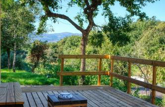 Quinta dos Caseiros do Paço de Giela - Foto 10