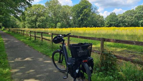 Haus Ahkamp - Foto 5