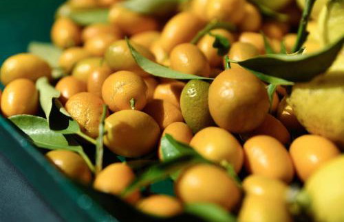 Le Vetrate sul Lago Lake Como Amazing View - Foto 63