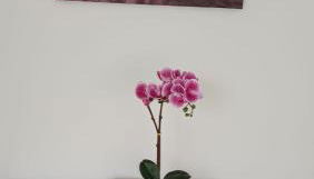 Mojacar Luxury - Foto 2