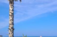 Apartament Gabbiano Bianco - Foto 34