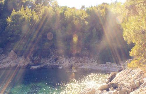 Apartment Jakov Grscica - Photo 17