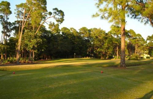 SERENE & ATTRACTIVE 3BR HEATED POOL/SPA HOME - Photo 47