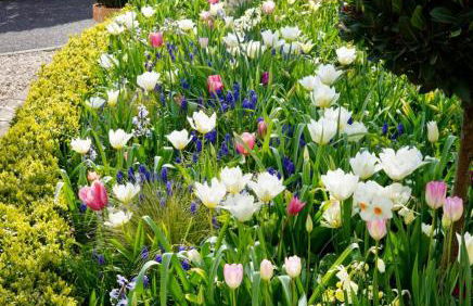 Bentley Rise - Photo 31