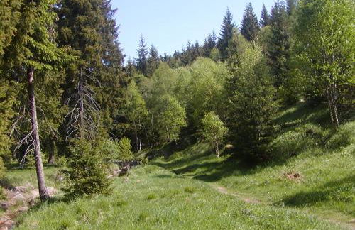 Ferienwohnung Petzold - Foto 16