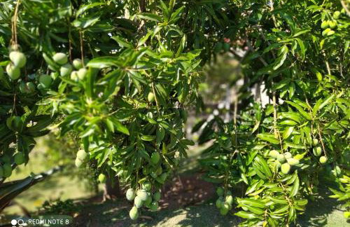 Chácara Atibaia - Foto 71