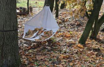 Domek Hrabiny nr 3 - Foto 17