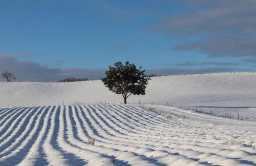 Biała Czapla - Foto 50