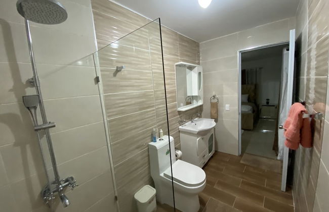 6A Cozy Apt in Santiago Center - Great Stay - Foto 45