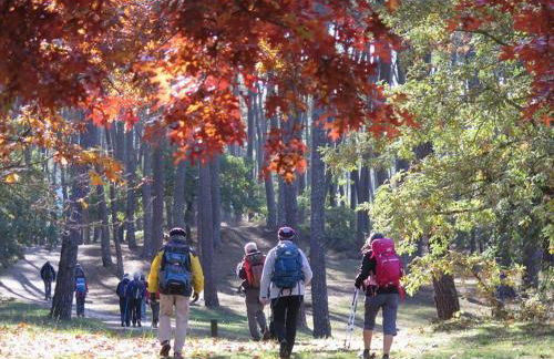 La Villa Morey - Foto 29