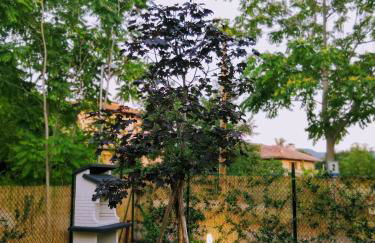 Casa vacanze Acero rosso - Foto 36