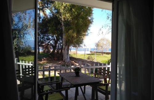 Palm tree house by the beach - Foto 9