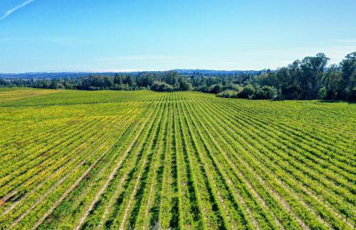 Moore Family Farmhouse - Wine Tastings Included - Foto 29