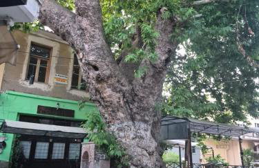 Beautiful Plomari Cottage - Photo 18