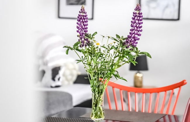 Apartamenty Dwupoziomowe Dwa Widoki Jacuzzi & Sauna - Foto 66