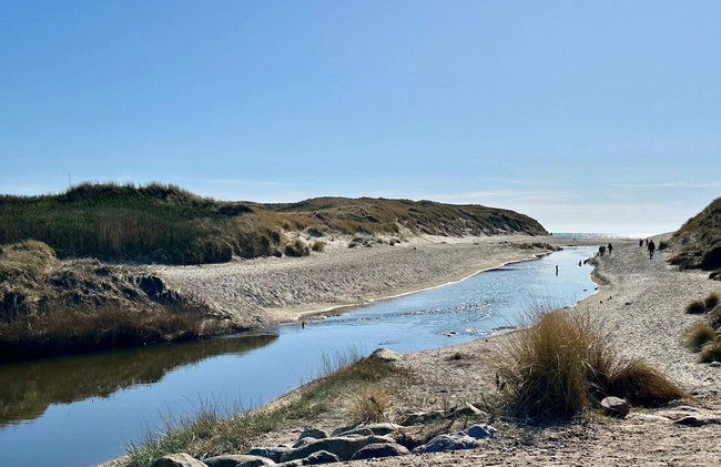 5 Star Holiday Home in Henne - Foto 30