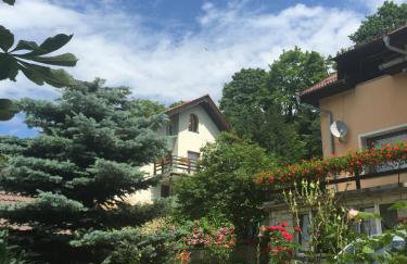 Noclegi pod kasztanem - Foto 34